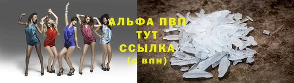 ECSTASY Дмитриев
