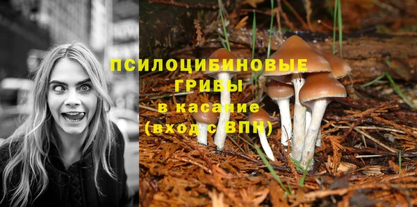мескалин Дмитров