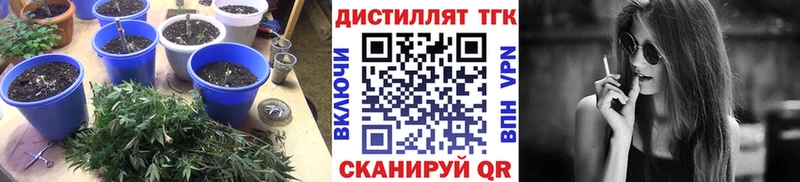 Купить  Оренбург  ТГК жижа 