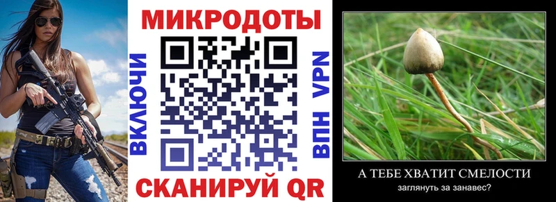Галлюциногенные грибы Magic Shrooms  Купить где  Оренбург 